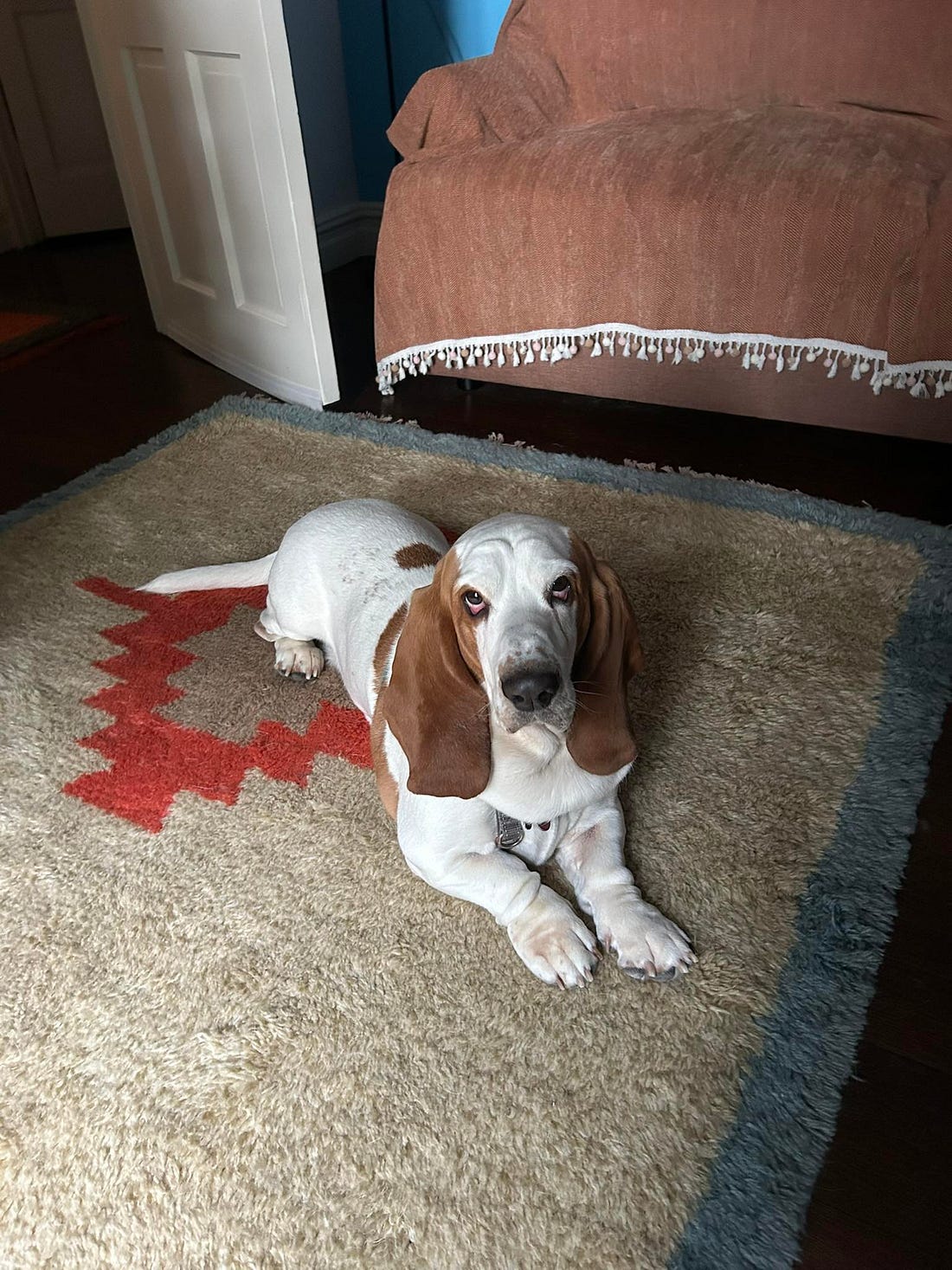 No photo description available.